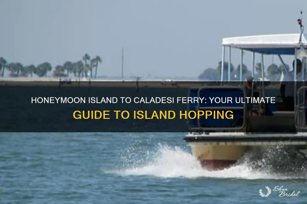 can you catch the ferry from honeymoon island to caladessi
