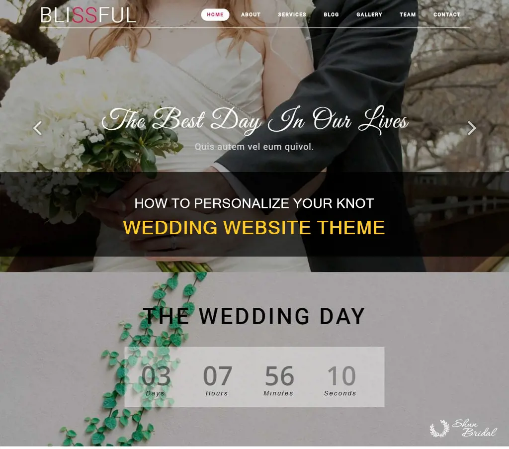 can you change theme for knot wedding website