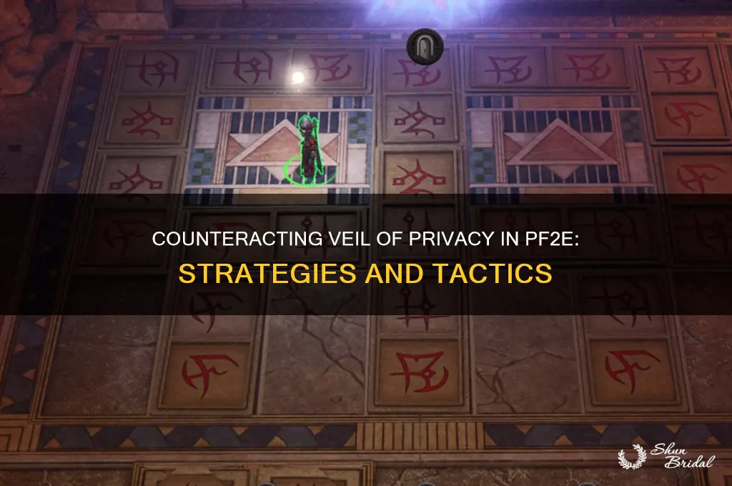 can you counteract veil of privacy pf2e