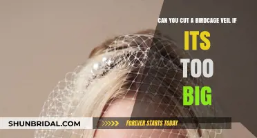 Trimming a Birdcage Veil: How to Resize if It’s Too Big