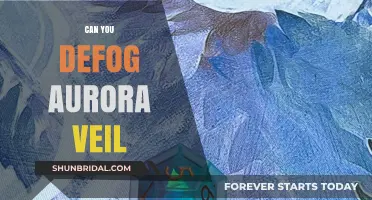 Debunking Myths: Can You Defog Aurora Veil in Pokémon Battles?