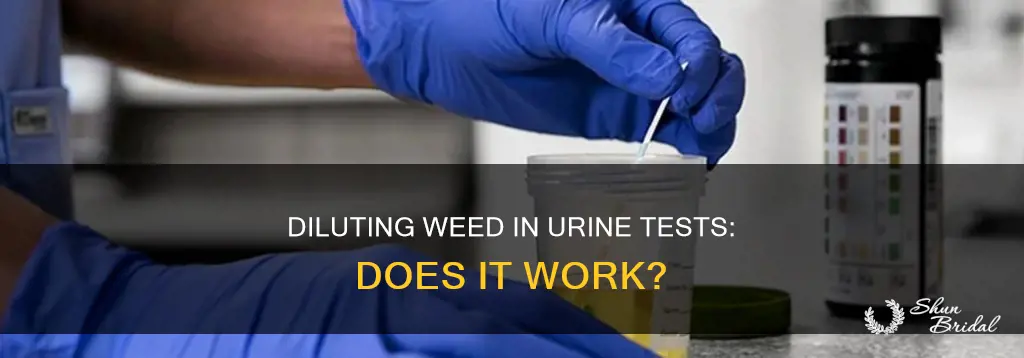 can you delute wed in urine test