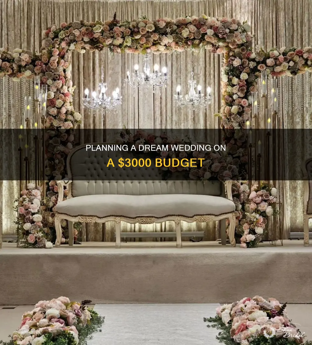 can you do a wedding for 3000 dollars