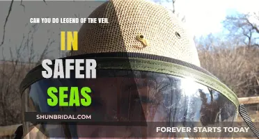 Safer Seas: Exploring Legend of the Veil's Feasibility and Safety