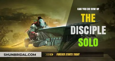 Solo Vow of the Disciple: Is It Possible to Conquer Alone?