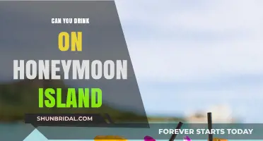 Sipping on Honeymoon Island: What You Need to Know