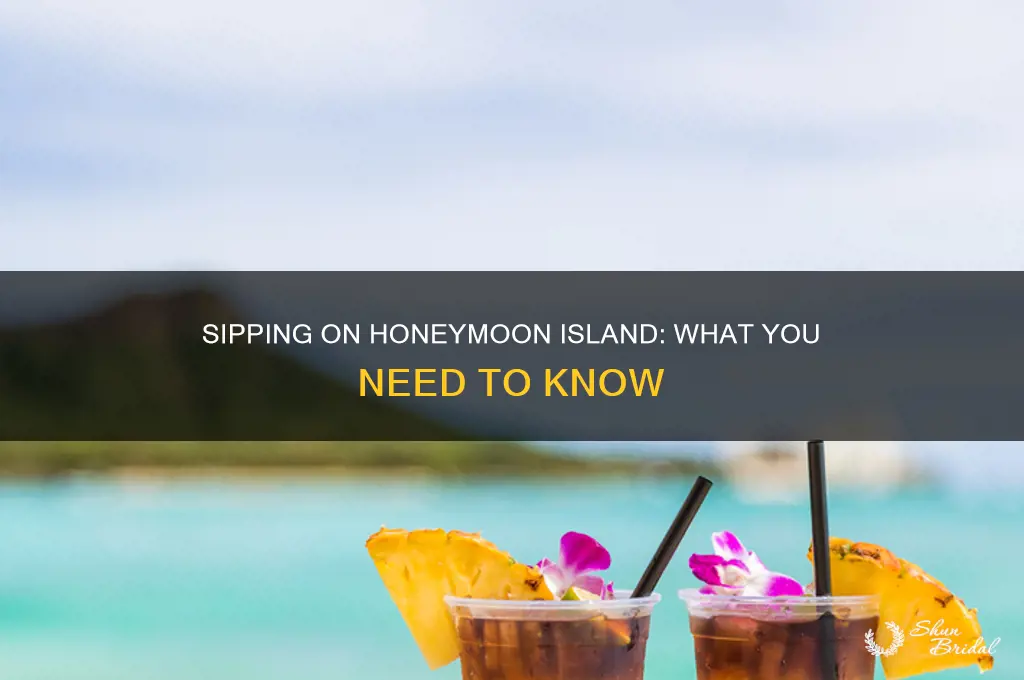 can you drink on honeymoon island