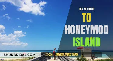 Honeymoon Island: A Guide to Getting There by Car