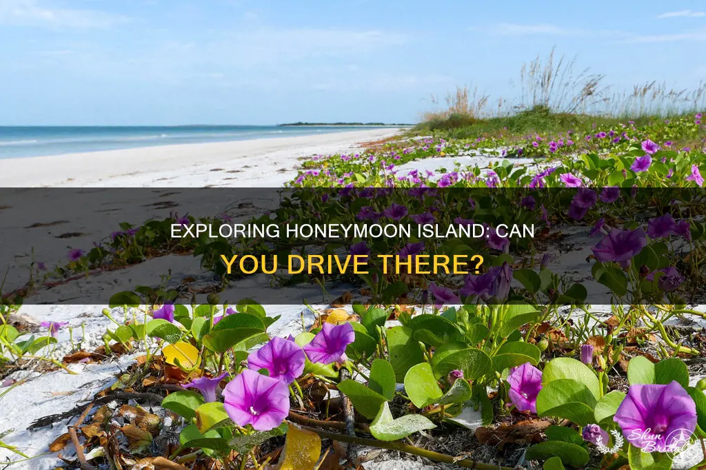 can you drive to honeymoon island