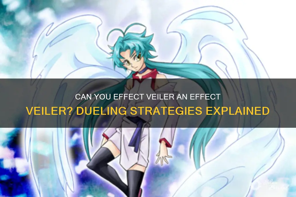 can you effect veiler an effect veiler