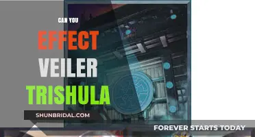 Effect Veiler vs. Trishula: Strategies to Counter the Banish Effect