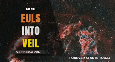 Eul's Scepter to Veil of Discord: Synergy or Strategy?