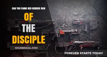 Farming Red Border Vow of the Disciple: Tips and Strategies
