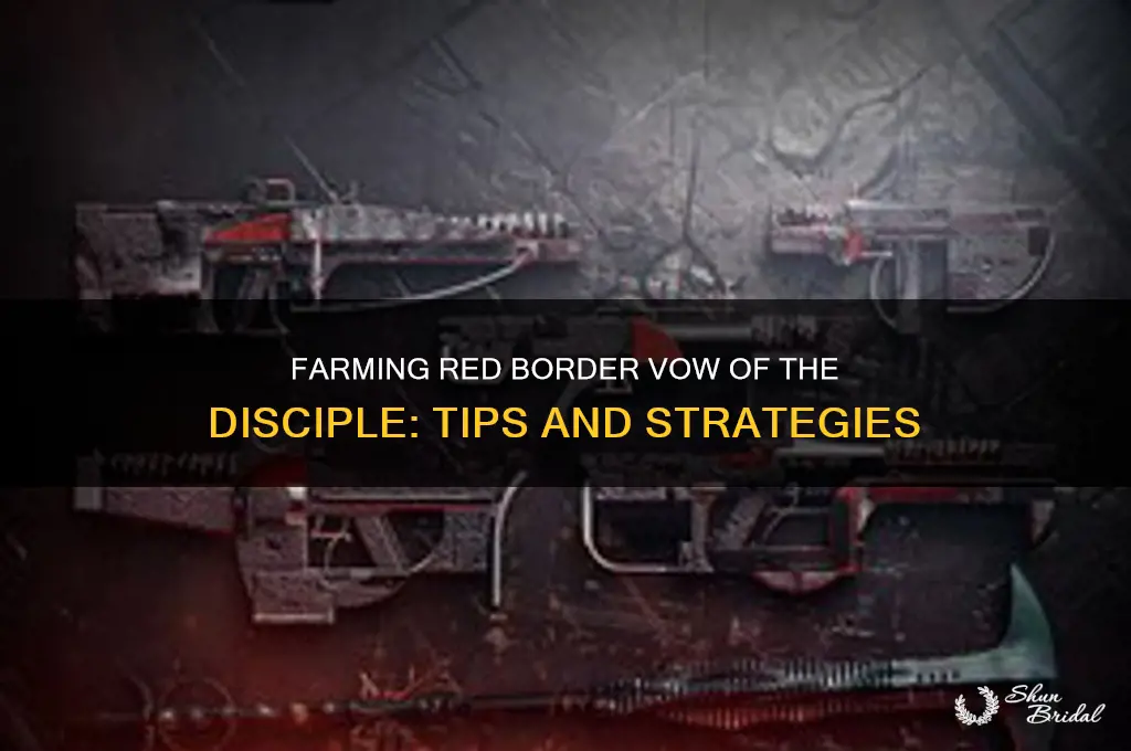 can you farm red border vow of the disciple