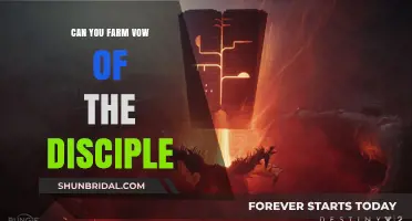 Farming Vow of the Disciple: Strategies for Efficient Raid Loot