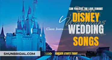 Disney Wedding Songs: Can You Feel the Love Tonight?