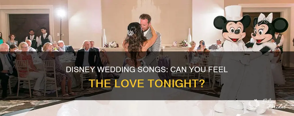 can you feel the love tonight disney wedding songs