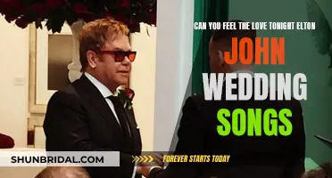 Elton John's 'Can You Feel the Love Tonight' for a Wedding