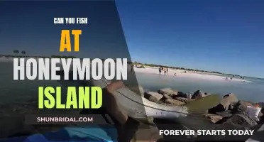 Honeymoon Island Fishing: A Guide to the Perfect Getaway