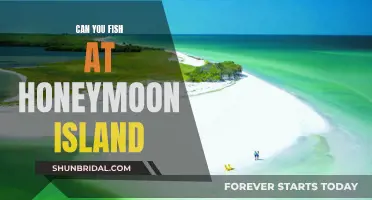 Honeymoon Island: Fishing Paradise or No-Go?