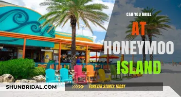 Grilling at Honeymoon Island: Tips, Rules, and Perfect Spots