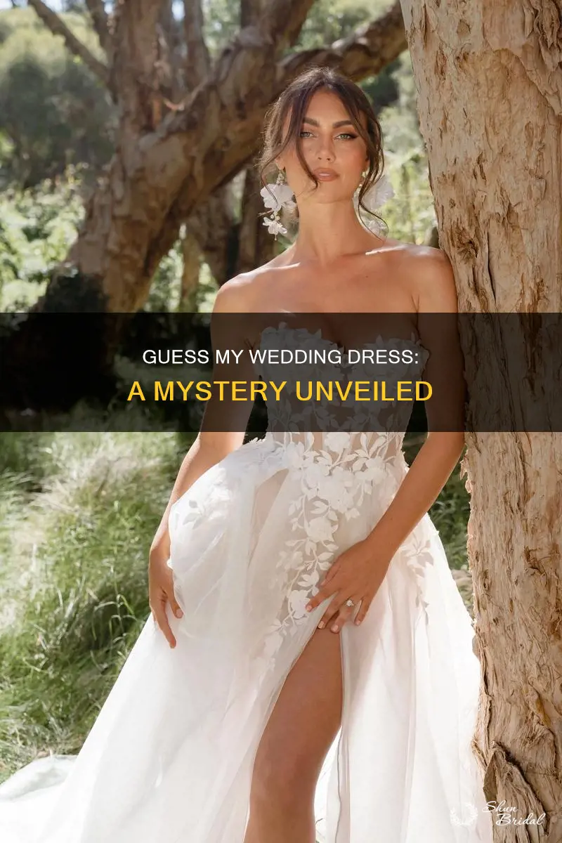 can you guess my wedding dress