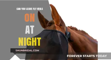 Should You Leave Fly Veils on Horses Overnight? Expert Tips