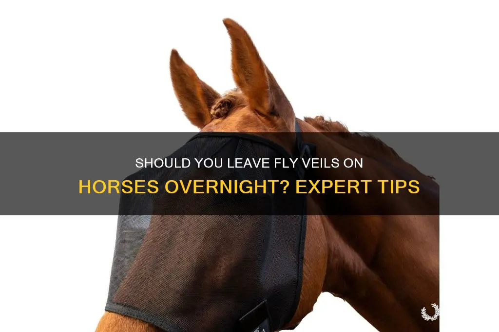 can you leave fly veils on at night