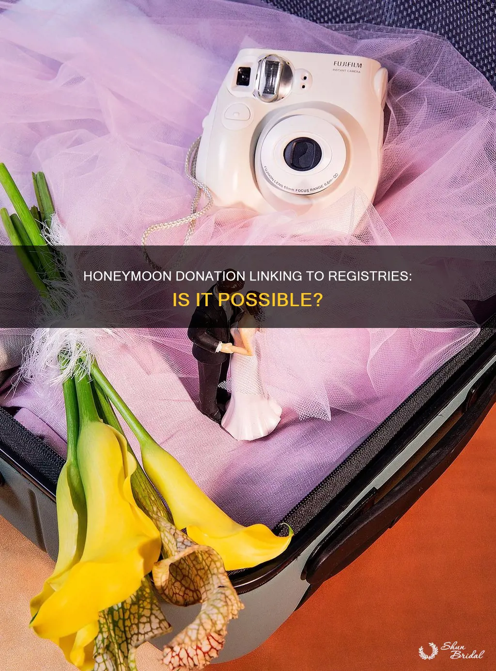can you link a honeymoon donation to any registries