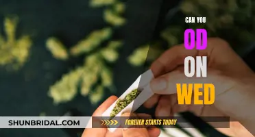 Weed Overdose: Is It Possible and What Are the Risks?