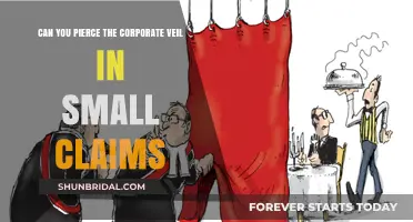 Piercing the Corporate Veil in Small Claims Court: What You Need to Know