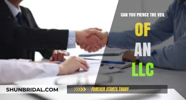 Piercing the Veil of an LLC: Legal Risks and Protections Explained