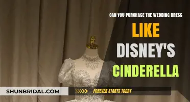 Where to Find Cinderella's Wedding Dress