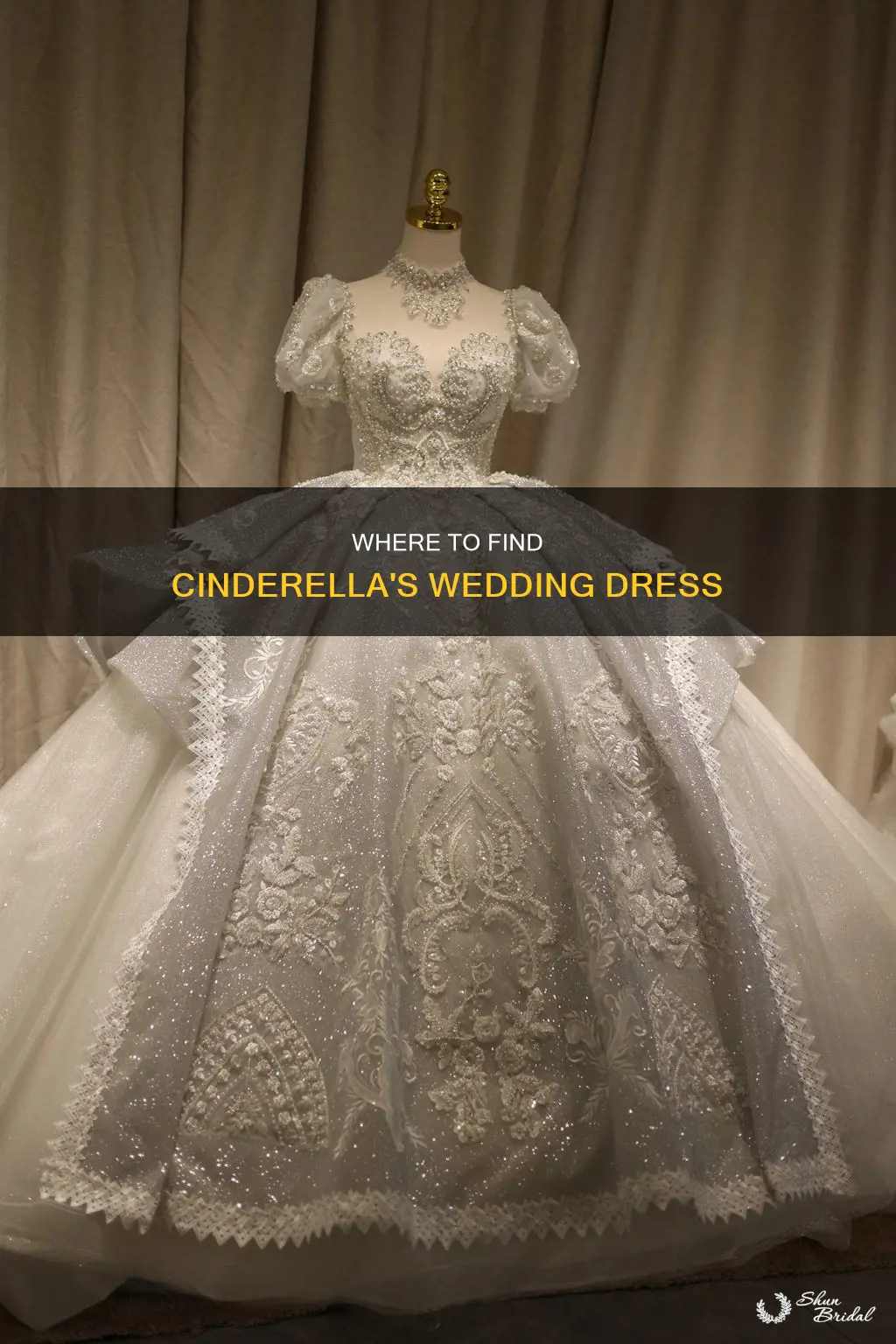 can you purchase the wedding dress like disney