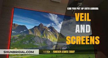 Combining Aurora Veil and Screens: Enhancing Pokémon Battles Strategically