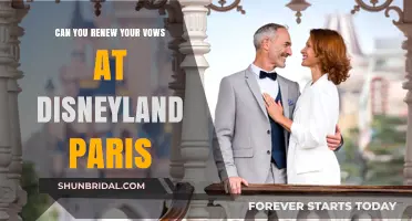 Renew Your Vows at Disneyland Paris: A Magical Celebration Guide