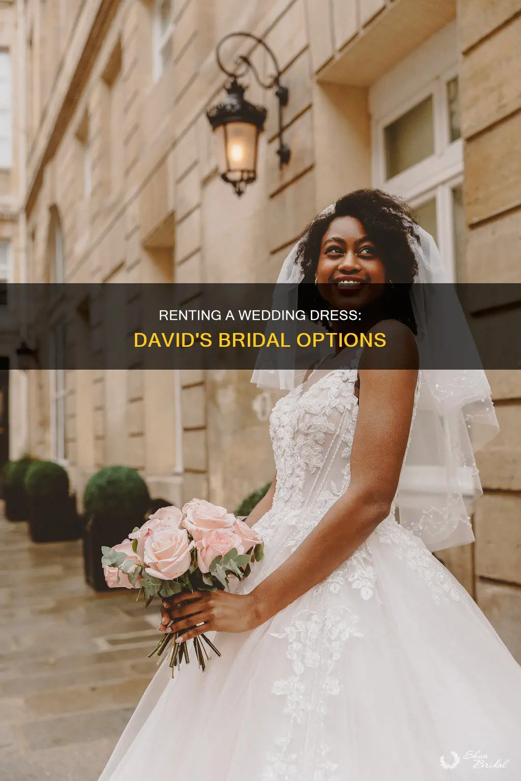 can you rent a wedding dress at david