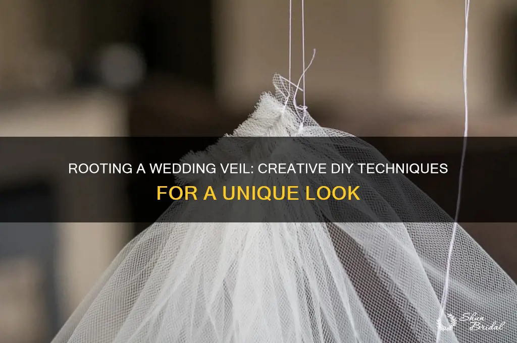 can you root a wedding veil