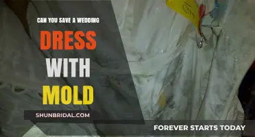 How to Rescue Your Wedding Dress from Mold
