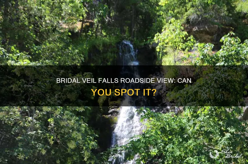 can you see bridal veil falls from the road