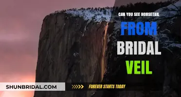 Bridal Veil Falls: Spotting Horsetail's Golden Glow at Sunset