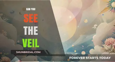 Can You See the Veil? Exploring the Mystical and the Unknown
