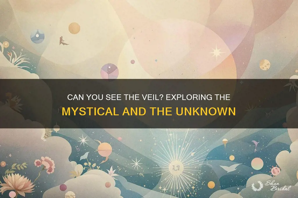 can you see the veil