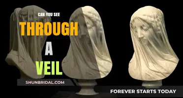 Seeing Beyond the Veil: Unveiling the Mystery of Transparency