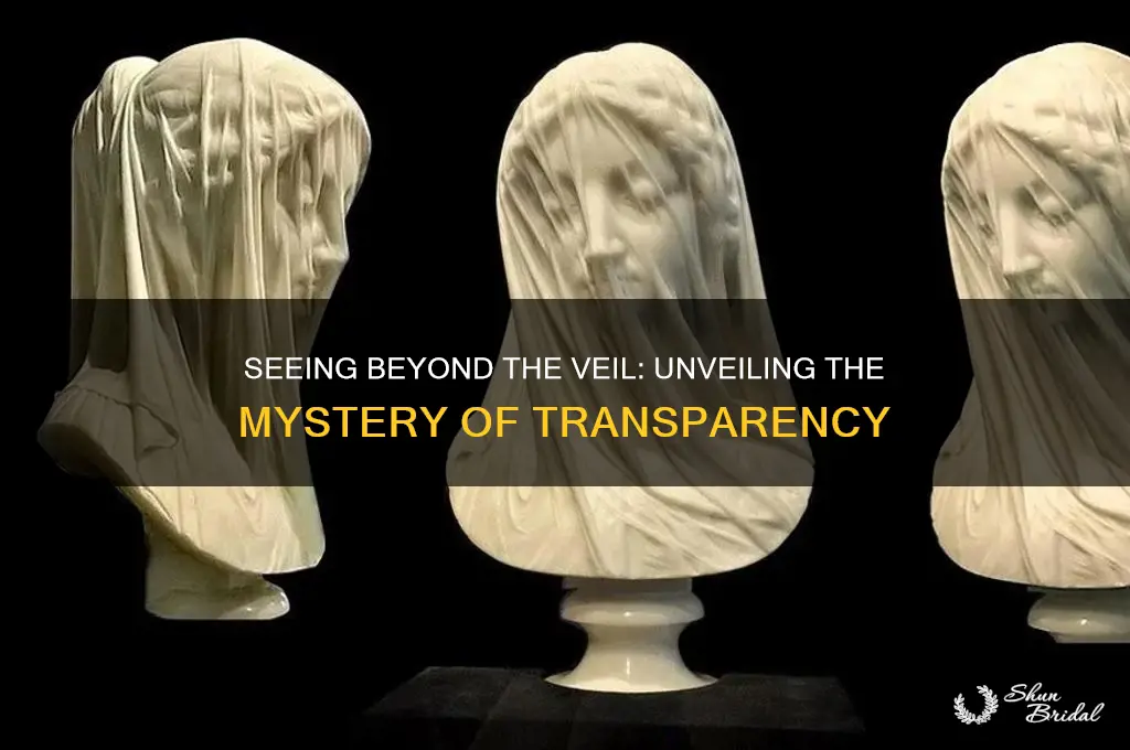 can you see through a veil