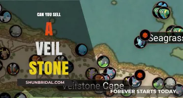 Selling Veil Stones: A Guide to Trading This Rare Pokémon Item
