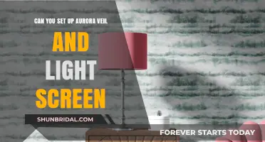 Mastering Aurora Veil and Light Screen: Setup Guide for Pokémon Battles