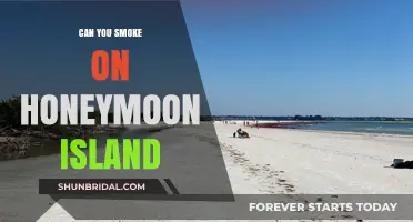 Smoking on Honeymoon Island: Rules, Tips, and What You Need to Know