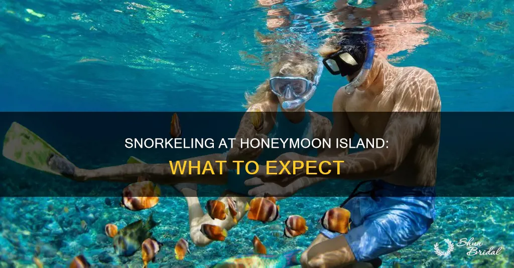 can you snorkel at honeymoon island