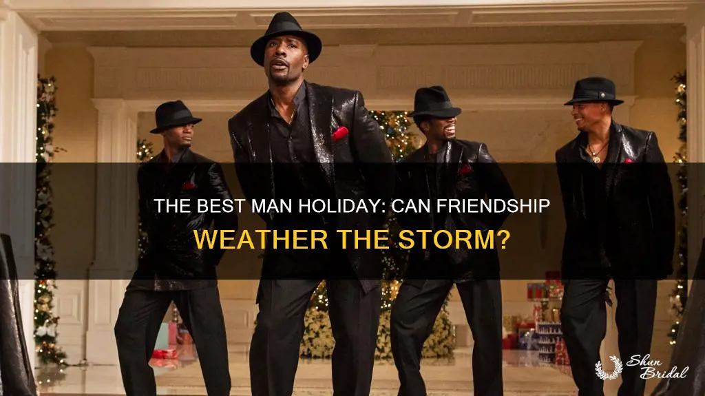 can you stand the rain best man holiday movie